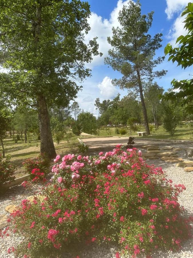 Superbe Villa Seillans La Grande Bastide Avec Piscine, Jardin, Climatisation Et Salle De Sport Εξωτερικό φωτογραφία