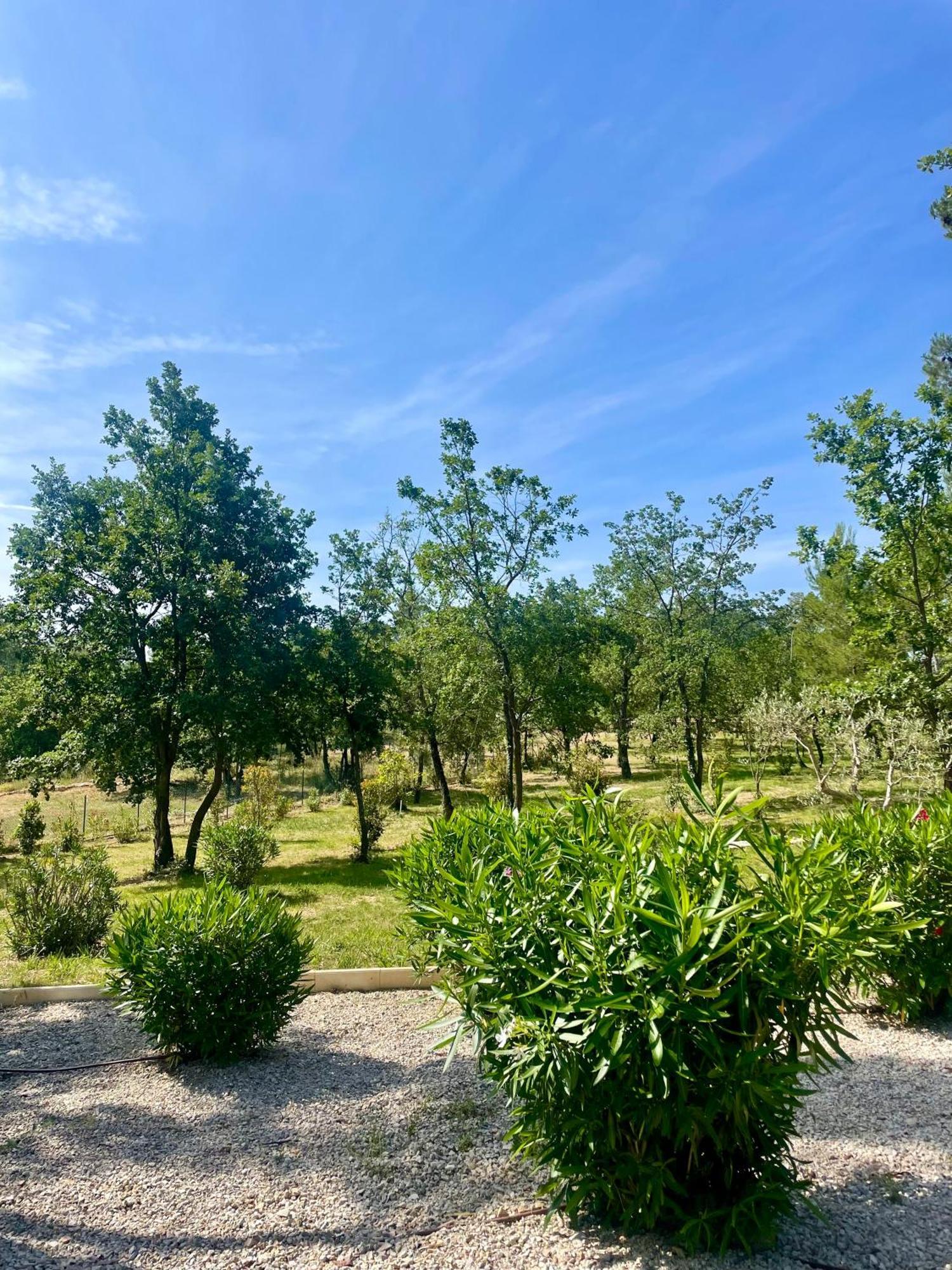 Superbe Villa Seillans La Grande Bastide Avec Piscine, Jardin, Climatisation Et Salle De Sport Εξωτερικό φωτογραφία