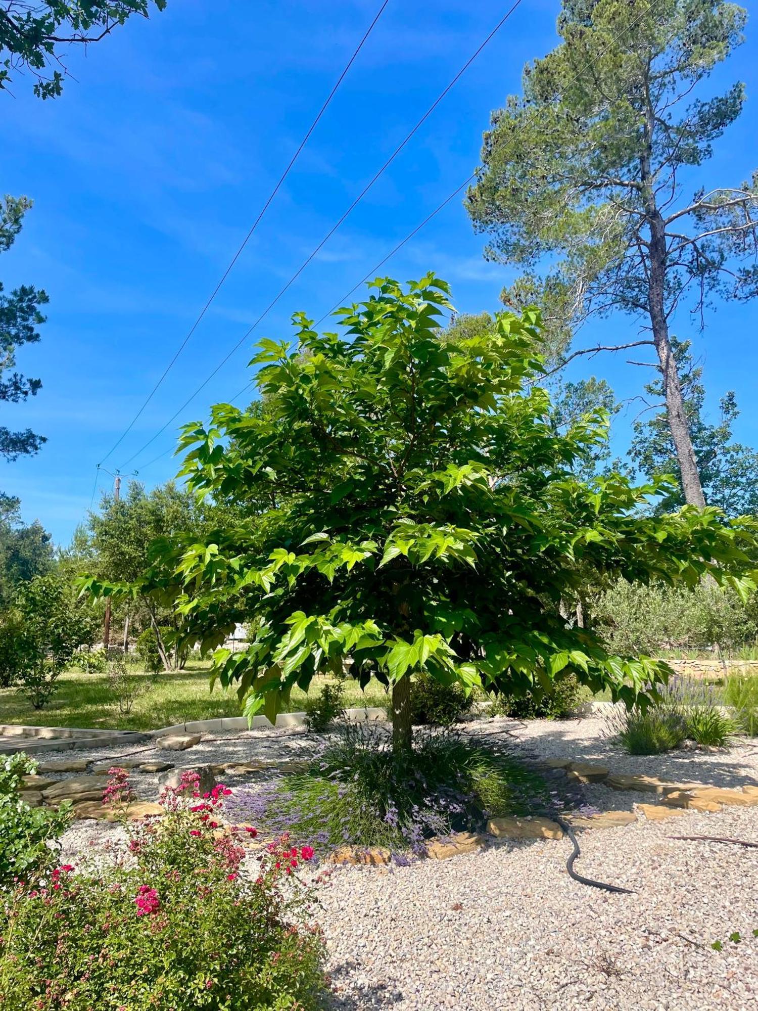 Superbe Villa Seillans La Grande Bastide Avec Piscine, Jardin, Climatisation Et Salle De Sport Εξωτερικό φωτογραφία