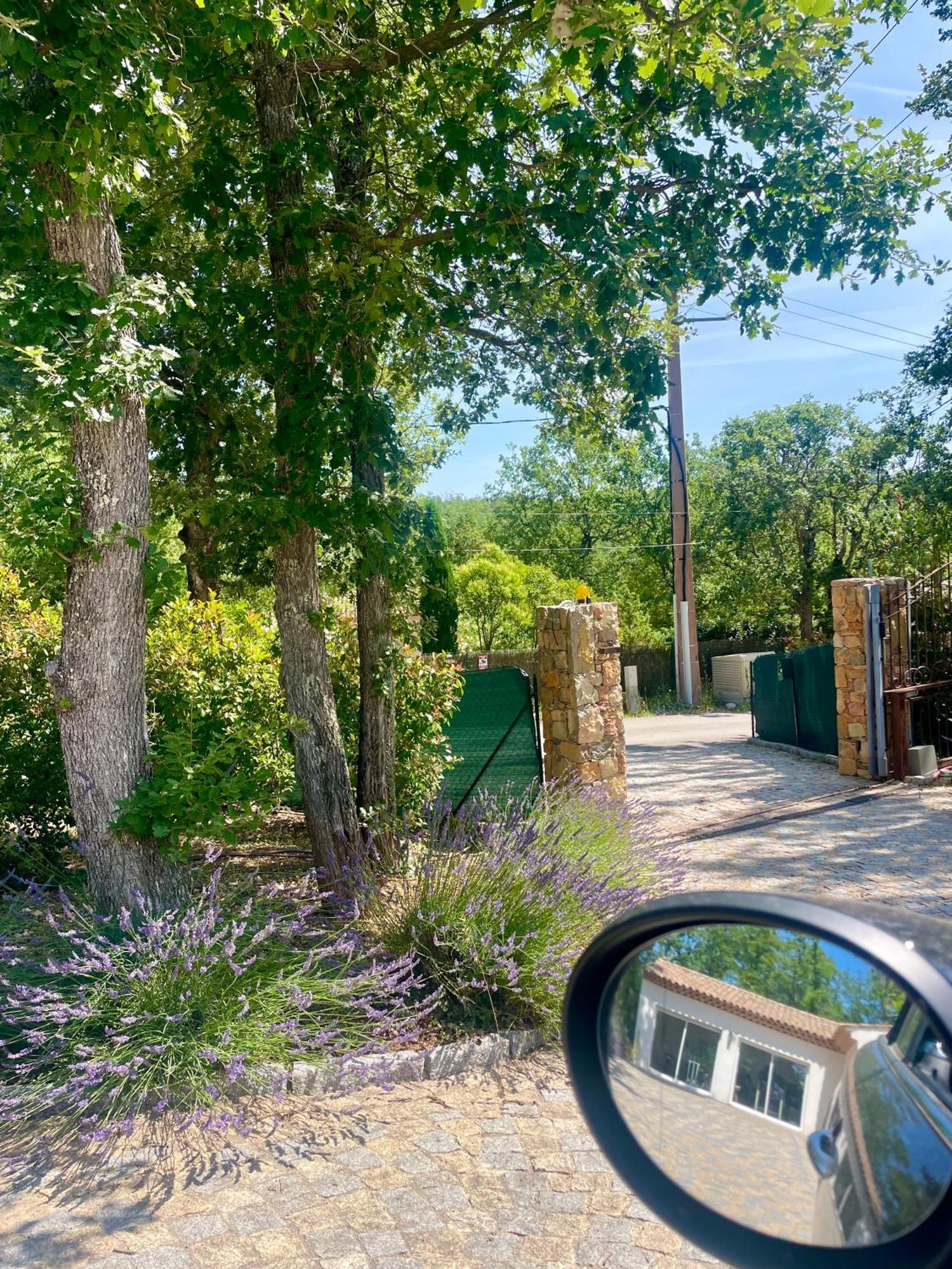 Superbe Villa Seillans La Grande Bastide Avec Piscine, Jardin, Climatisation Et Salle De Sport Εξωτερικό φωτογραφία