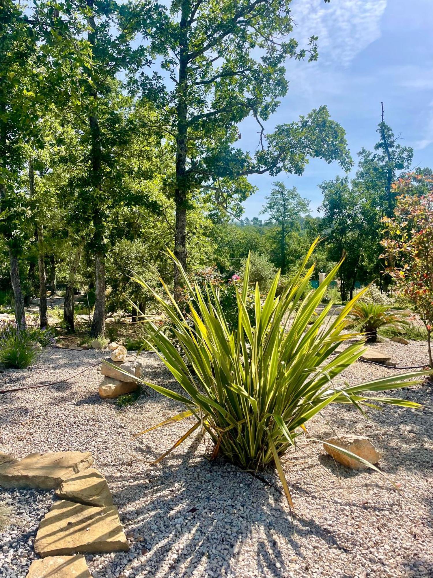 Superbe Villa Seillans La Grande Bastide Avec Piscine, Jardin, Climatisation Et Salle De Sport Εξωτερικό φωτογραφία