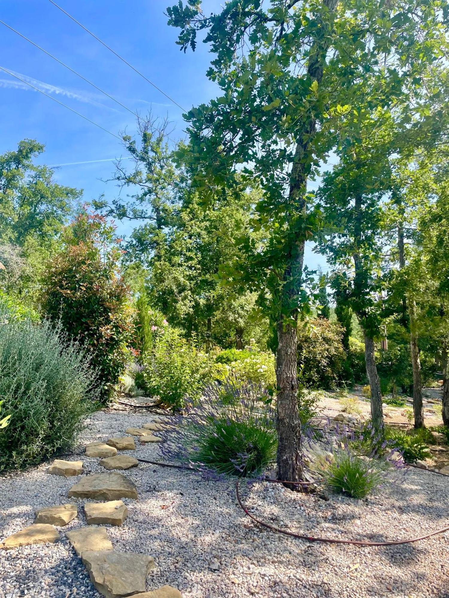 Superbe Villa Seillans La Grande Bastide Avec Piscine, Jardin, Climatisation Et Salle De Sport Εξωτερικό φωτογραφία